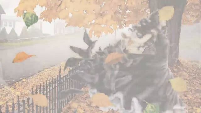 Три месяца Осень! смотреть онлайн