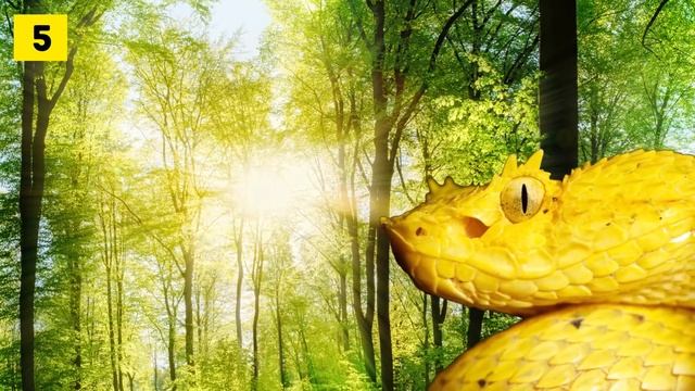 10 Страшных Туристических Мест, После Которых Снятся Кошмары смотреть онлайн