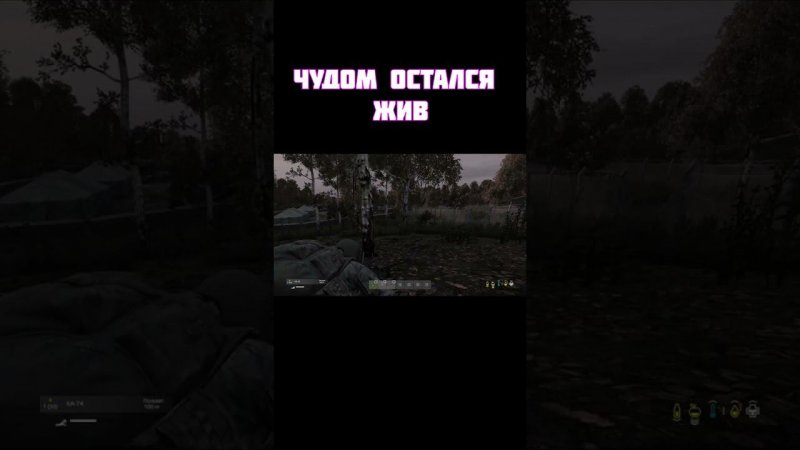 Dayz — (повезло повезло) #shorts