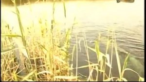 Подводная охота на сома | Часть 1 | Выпуск №86 (RUS)