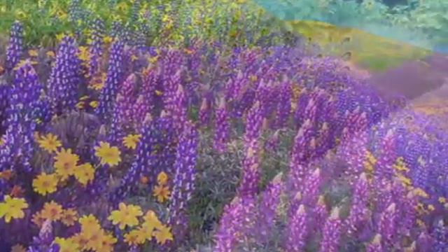 Waheguru Wahe Jio Victory Light of the Naam Snatam Kaur смотреть онлайн