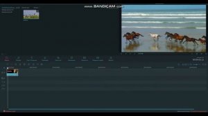 как убрать водяной значок в Wondershare Filmora