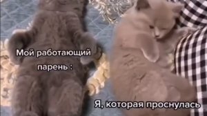 муж жена
