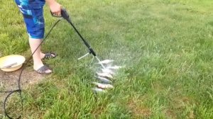 Как легко почистить рыбу