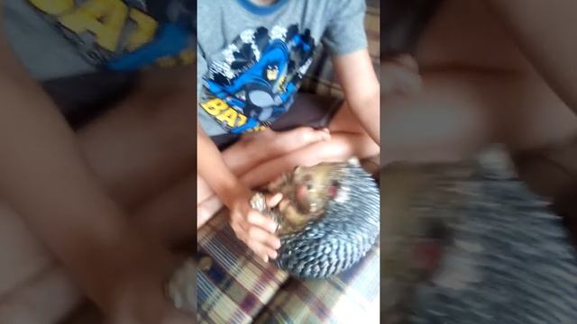 Как достать мелочь из копилки не разбивая её?!