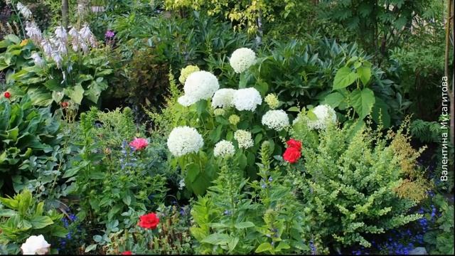 ❀ Правила создания идеального цветника смотреть онлайн