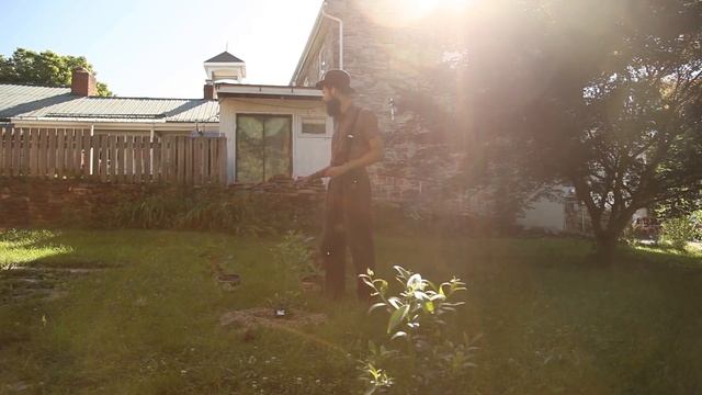 Planting Kiwi and Thornless Raspberry - The Benefits of Perennial Berries смотреть онлайн