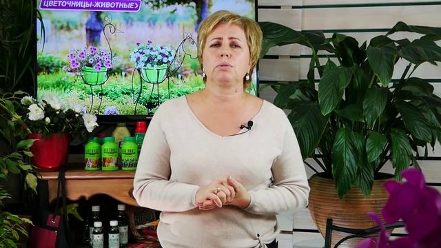 Работы с саду в ноябре ? Прямой эфир ? Финал дачного сезона смотреть онлайн