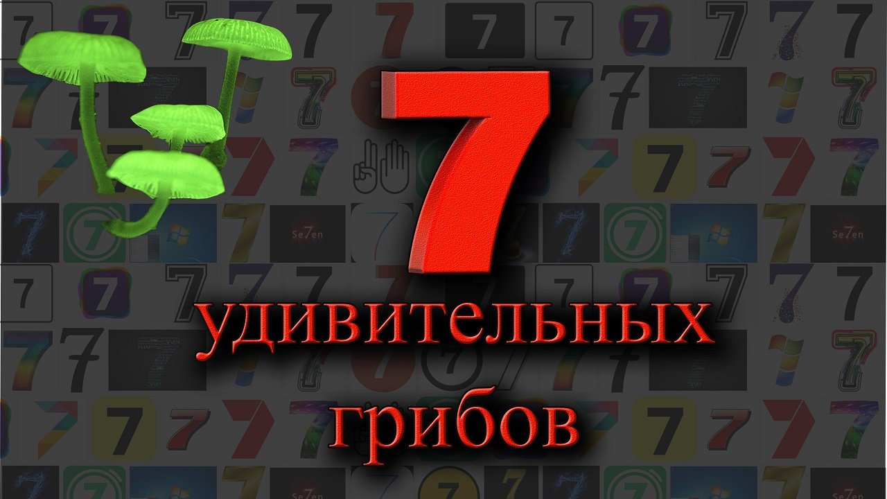 Удивительная 7