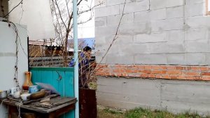 Когда не спросил разрешение