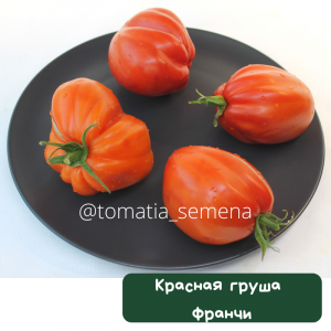 Красная груша Франчи