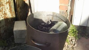 подготовка почвы с использованием нашатырного спирта и посадка рассады огурцов. kurkkua taimet