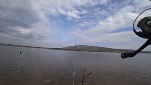 Рыбалка на Фидер #fishing #рыбалка #фидер