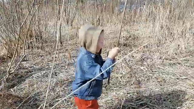 Плетёное дерево из ивы . Декор для сада. смотреть онлайн