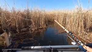Рыбалка на поплавок поздней осенью. Видео с канала «Рыбацкие будни».