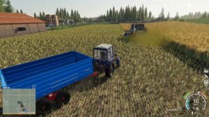 Начало уборки канолы 🚜 Ничейная земля 🚜FS 19  прохождение ч17 🚜 ФС19