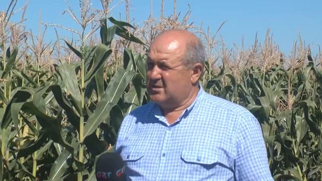 В КОЛХОЗЕ "ПОБЕДА" ЗАВЕРШИЛАСЬ ЗАГОТОВКА КОРМОВ ДЛЯ ЦЕХА ЖИВОТНОВОДСТВА смотреть онлайн