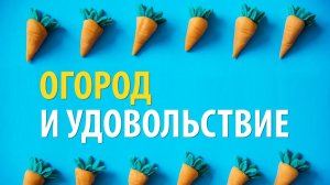 Дача огород своими руками. Почему работа на огороде приносит удовольствие