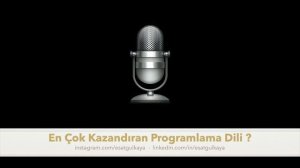 En Çok Kazandıran Programlama Dili!