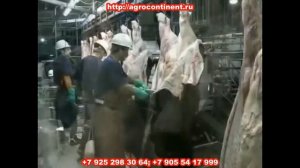 Забеловочный нож, для снятия шкуры КРС
