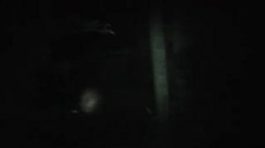 Дневники зомби 2006