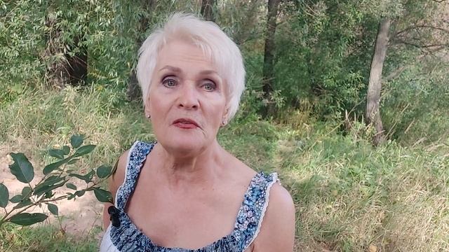 Акция сентября - Кипарис