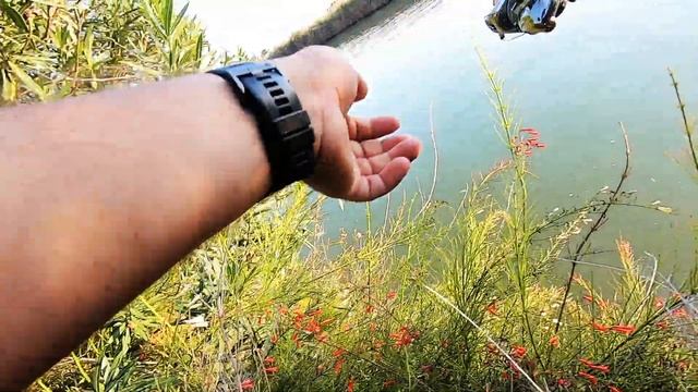 Ловля СИБАСА в отеле| Турция смотреть онлайн