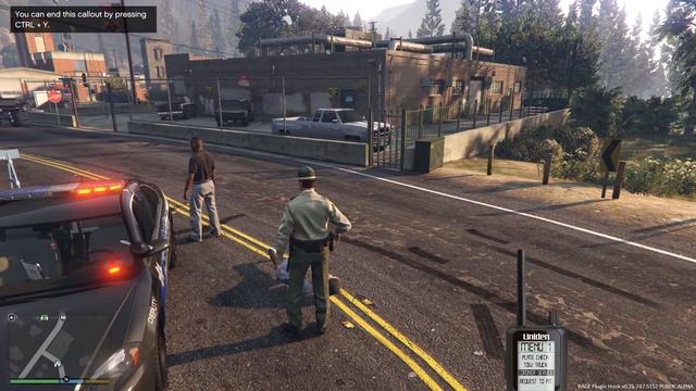 GTA V LSPDFR #24 Homicide Detectives Called! смотреть онлайн