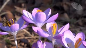 Мать не рассказывала о том, что случилось с ней в молодости. А когда узнала, с кем в отношениях доч