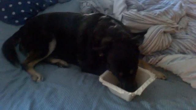 Rosie's breakfast in bed смотреть онлайн