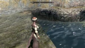 【Skyrim実況】レベル1で盗賊ギルドのボスになれるって本当ですか？03