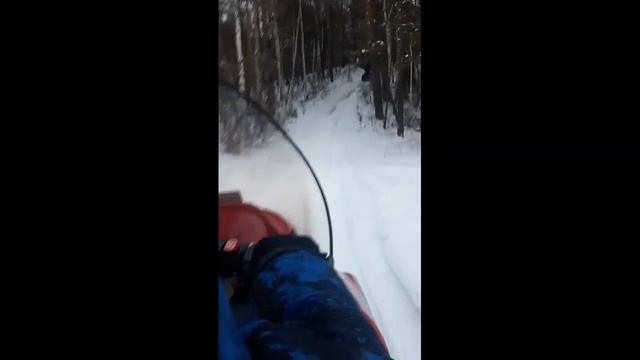 Как я проводил зимние каникулы??? смотреть онлайн