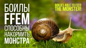 Ужасный монстр пожирает бойлы FFEM Baits