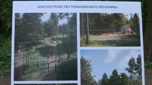 Благоустройство Томилинского лесопарка