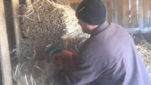 Нарезка камыша для Самана