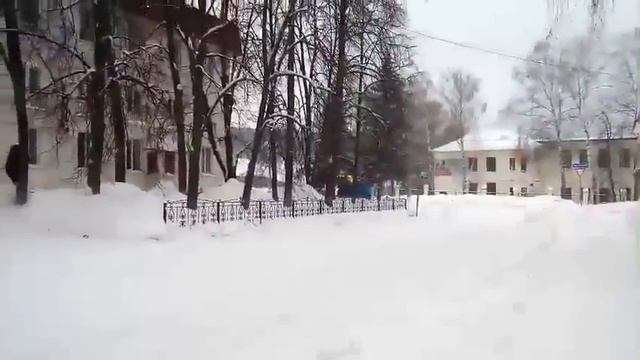 Медведь в Жигулевске смотреть онлайн