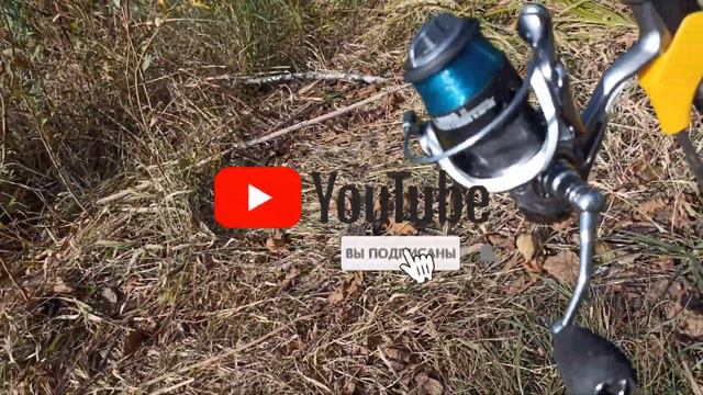 ЛАЙТОВЫЙ «CAMPING» С ЭЛЕМЕНТАМИ РЫБАЛКИ. 🌲龙在路上 🌄 смотреть онлайн