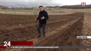 В селе Родное частный инвестор заложил виноградники для будущего производства