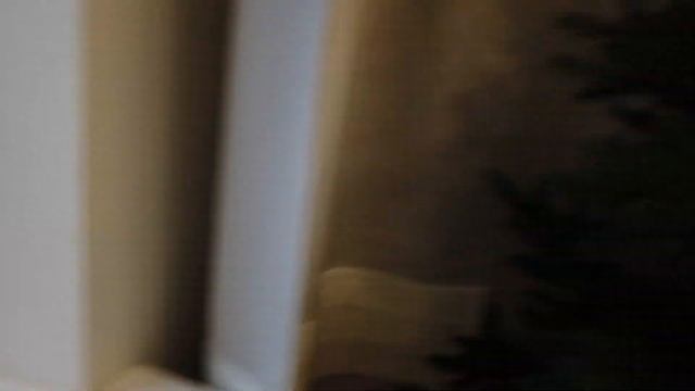 Наряжаем с чихуахуа Фондю новогоднюю ёлку! Ёлка в стиле сканди! смотреть онлайн