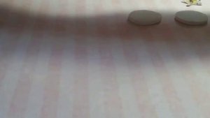 Мастер класс : значки в технике декупаж из полимерной глины.