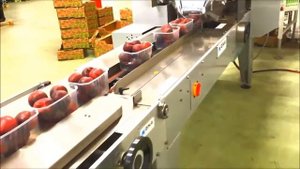 Упаковщик в флоу пак flowpack фруктов и овощей