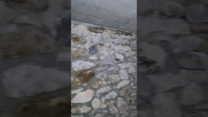 Подвал с бутового камня!Пять газонов бута ушло!