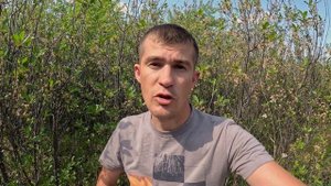 Нижняя сторона листа яблони ломкая. Что это? МирДез