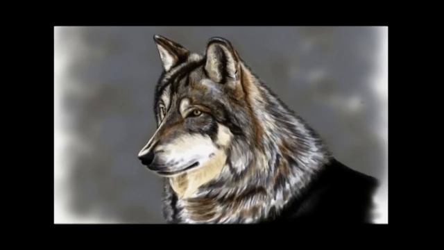 Рисуем волка смотреть онлайн