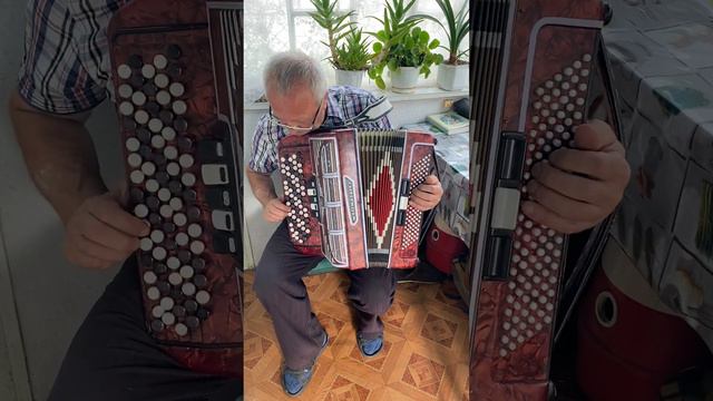 For repair Weltmeister Seperato accordion, 5 Row accordion, 120 Bass, Professional Accordion смотреть онлайн