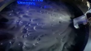 Дом экспериментов. Поход в Экспериментаниум. Экспериментариум. Куда сходить с ребёнком.