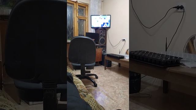 Рыба гниёт с головы смотреть онлайн