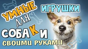 Сделай суперпростые умные игрушки для собаки своими руками