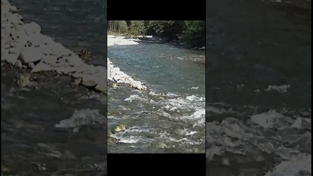 Звуки природы в лесу у реки. Пение птиц, шум воды для расслабления и отдыха.