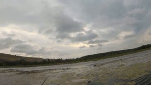 Поплавок в КУВШИНКИ и , ВОТ ОНА - ПОКЛЁВКА !!  Рыбалка на карася . Удочка .